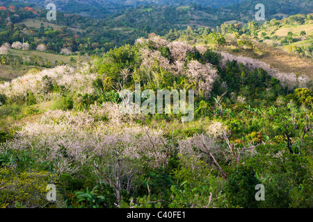 Colline dell'entroterra, Punta Rucia, Repubblica Dominicana Foto Stock