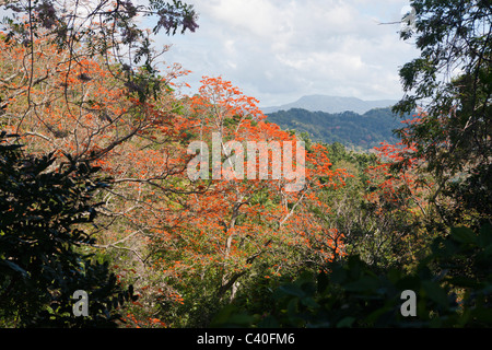 Colline dell'entroterra, Punta Rucia, Repubblica Dominicana Foto Stock