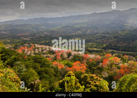 Colline dell'entroterra, Punta Rucia, Repubblica Dominicana Foto Stock