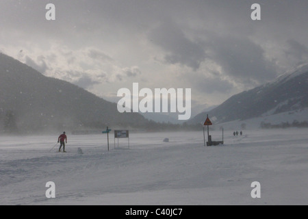 La Svizzera, Vallese, Goms, Obergesteln, sci di fondo, Blizzard, inverno, la neve Foto Stock