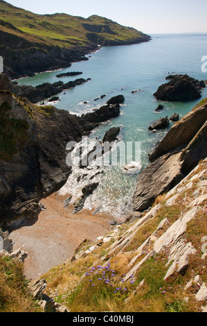 Rocky seascape sulla North Devon Coast nelle vicinanze del Ilfracombe guardando verso il punto di morte Foto Stock