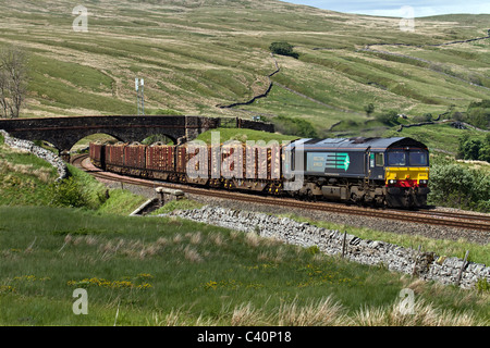 Trasporto merci 66426 DRS Classe 66 Colas Goods Train, una locomotiva diesel a sei assi per il trasporto di tronchi forestali a AIS Gill, Cumbria, Regno Unito Foto Stock