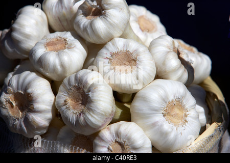 Bulbi di aglio allium sativum Foto Stock