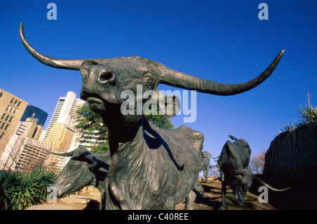 America, arte, bronzo, bovini, mucca, Dallas, Display, presentano, storico, storico Holiday, Landmark, Longhorn, monumento, Pionee Foto Stock