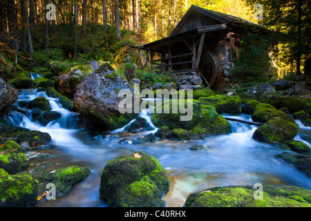 Golling, Austria, Europa, Salisburgo, legno, foresta, Brook, pietre, MOSS, mulino, mulino ad acqua Foto Stock