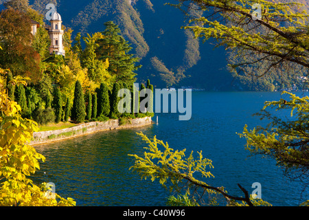 Castagnola, Svizzera, Europa, Canton Ticino, Lago, Lago di Lugano, parco di villa, alberi, colorazione autunnale, autunno Foto Stock