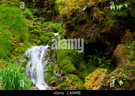 Le Theusseret, Svizzera, Europa, Canton Giura, Brook, MOSS, pietra di tufo Foto Stock