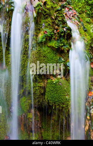 Le Theusseret, Svizzera, Europa, Canton Giura, Brook, MOSS, alghe, pietra di tufo Foto Stock