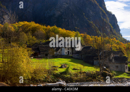 Rosed, Svizzera, Europa, Canton Ticino, Val Bavona, villaggio, case, case, case in pietra, legno, foresta, autunno Foto Stock