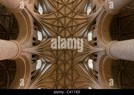 Tewkesbury Abbey interno soffitto a volta Foto Stock