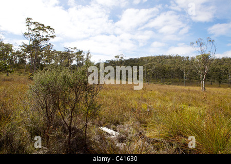 Baia di Ida Railway Tasmania, Australia. Inizio di estate 2010 Foto Stock