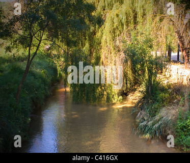 Le limpide acque del Rio Frio serpeggianti IL LORO MODO A VALLE bellissimi alberi a sbalzo RIOFRIO Andalusia Spagna Foto Stock