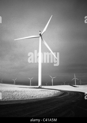 Electricity-Generating mulini a vento. Risorse rinnovabili. Energia pulita. Foto Stock