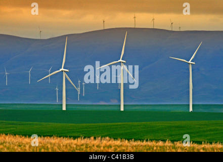 Fila di generazione di elettricità di mulini a vento in Wasco, Oregon Foto Stock