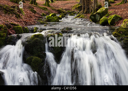 Piccolo fiume e cascata su roccia, in esecuzione attraverso una zona boscosa, d'inverno. La Scozia, UK, Regno Unito Foto Stock