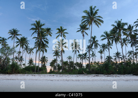 Spiaggia tropicale a Ras Mbisi sull isola di mafia, Tanzania Foto Stock