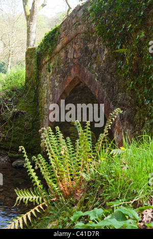 A pack horse bridge over Horner Water in the Exmoor village of Horner, Somerset, England UK Foto Stock