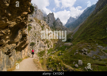 Walker sulla drammatica sentiero nella Garganta del Cares, nei pressi di Caino. Picos de Europa, Asturie. Foto Stock