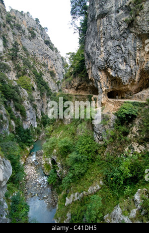 Walker sulla drammatica sentiero nella Garganta del Cares, nei pressi di Caino. Picos de Europa, Asturie. Foto Stock