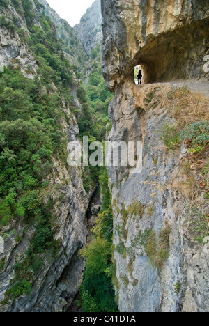 Walker sulla drammatica sentiero nella Garganta del Cares, nei pressi di Caino. Picos de Europa, Asturie. Foto Stock