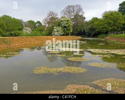 Wilts & berks canal restauro Foto Stock