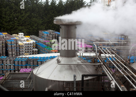 Birreria di cervelli Cardiff South Wales UK Foto Stock