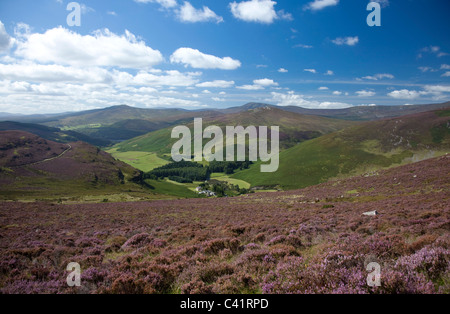 Estate vista su tutta la vallata Cloghoge e Wicklow Mountains, County Wicklow, Irlanda. Foto Stock