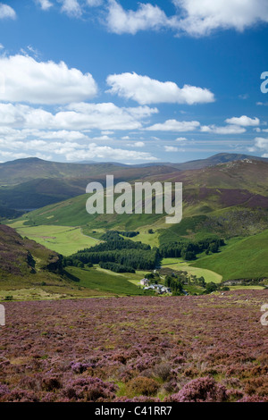 Estate vista su tutta la vallata Cloghoge e Wicklow Mountains, County Wicklow, Irlanda. Foto Stock