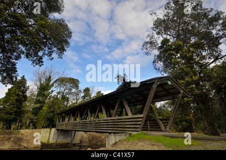 Ponte di legno in Mira, Portogallo Foto Stock