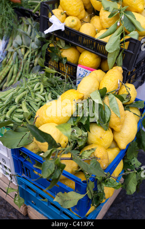 Costiera Amalfitana limoni per la vendita in Amalfi (SA), Italia Foto Stock