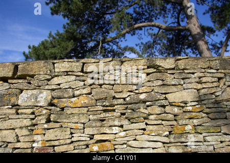 Muro a secco costruiti con Mendip Somerset pietre Somerset England Regno Unito. Foto Stock