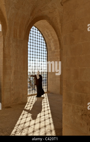 Kasimiye Medresseh in Mardin città sud-est della Turchia Foto Stock