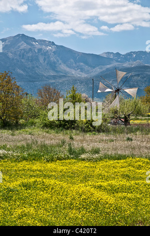 Tempo di primavera vicino Marmaketo sull'altopiano di Lasithi, con il Monte Dikti in background, orientale di Creta, Grecia Foto Stock