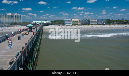 Nuotatori nell'Oceano follia Beach South Carolina USA Foto Stock