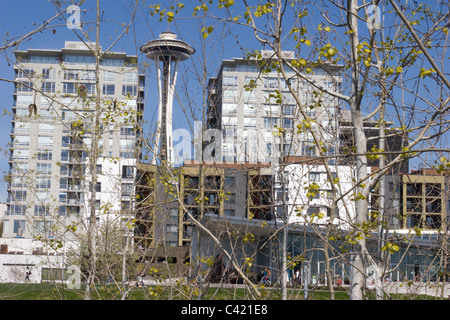 Lo Space Needle, PACCAR Pavilion e edifici di appartamenti visto attraverso un schermo di alberi. Foto Stock