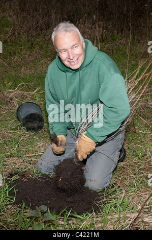 Volontari piantare alberi come parte di un progetto di restauro a Bugbee Natura zona di Missoula, Montana. Foto Stock