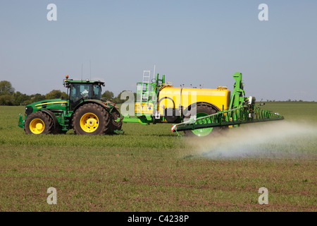 La spruzzatura di un erbicida in un campo di grano Foto Stock