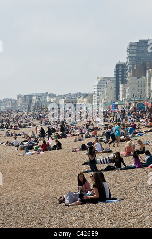 Persone sedute a Brighton Beach nel Sussex orientale nel Regno Unito. Foto Stock