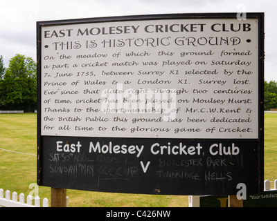 Dichiarazioni interpretative segno a East Molesey Cricket Club, :di Londra - Inghilterra Foto Stock