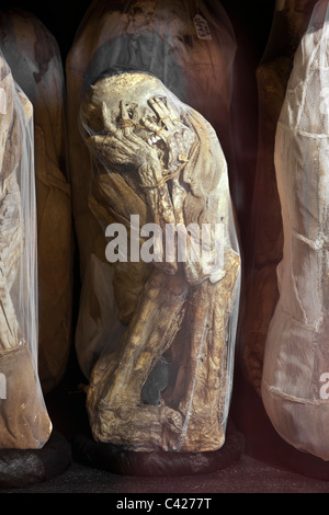 Il Perù, Leymebamba, Leimebamba, Museo. Le mummie trovate a Laguna de los Condores. (Scorporato dal loro originale bundle). Foto Stock