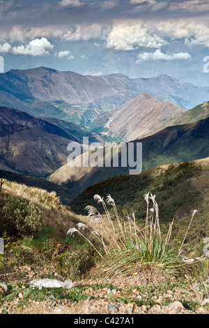 Il Perù, Leymebamba, strada a Cajamarca. Vista dalla calla Passo della Calla. (3600 m). Foto Stock