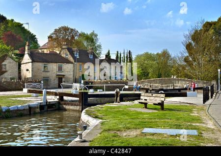 Molla di occupato, inizio estate canal di scena sul Kennet and Avon canal prese a Bradford on Avon, Wiltshire, Inghilterra, Regno Unito Foto Stock