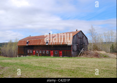 Weathered fienile con arrugginita tin roof nella regione di Charlevoix, provincia del Québec in Canada. Foto Stock