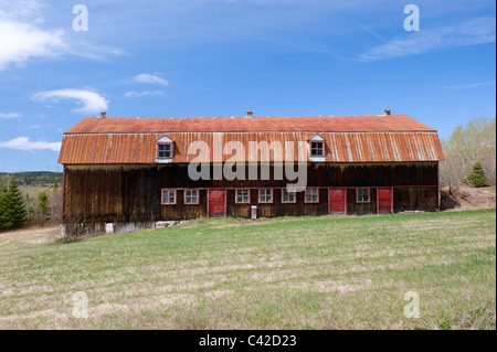 Weathered fienile con arrugginita tin roof nella regione di Charlevoix, provincia del Québec in Canada. Foto Stock