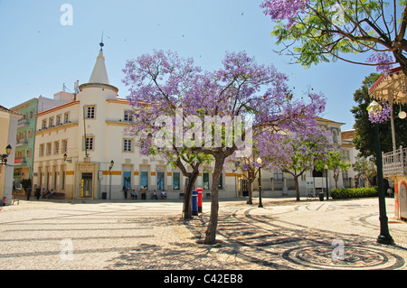 Piazza alberata, Piazza San Francisco Gomes, città vecchia, Faro, regione dell'Algarve, Portogallo Foto Stock