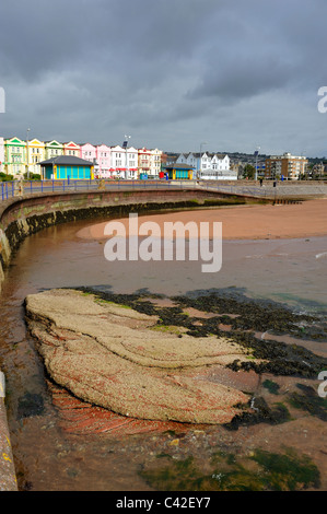 Lungomare di paignton Devon England Regno Unito Foto Stock