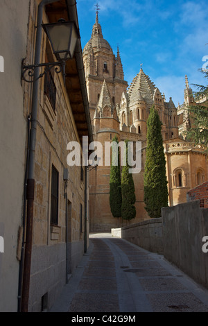 Il vecchio duomo Cattedrale di Salamanca / Catedral Vieja de Salamanca Foto Stock