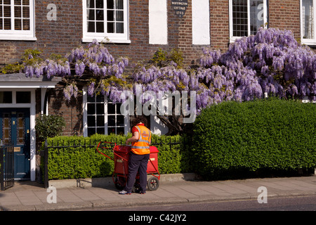 Una donna post con un carrello di consegna Consegna post a Peg Woffington in casa Teddington High Street sulla soleggiata mattina di primavera Foto Stock