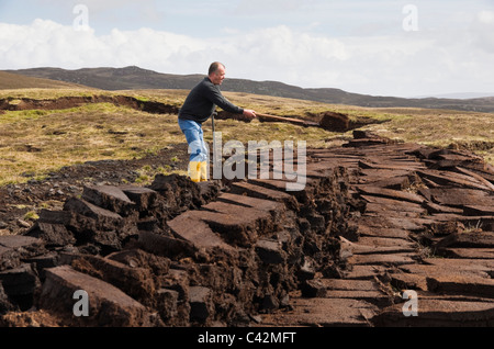Uomo di taglio dei blocchi di torba impilati per essiccamento come combustibile tradizionale. Le Isole Shetland Scozia, Regno Unito, Europa. Foto Stock