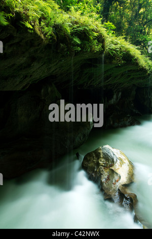 Cascata a Semuc Champey, Lanquin, Guatemala Foto Stock